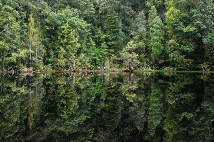 mirror-tarn-kahurangi-national-park-1.jpg#asset:8049